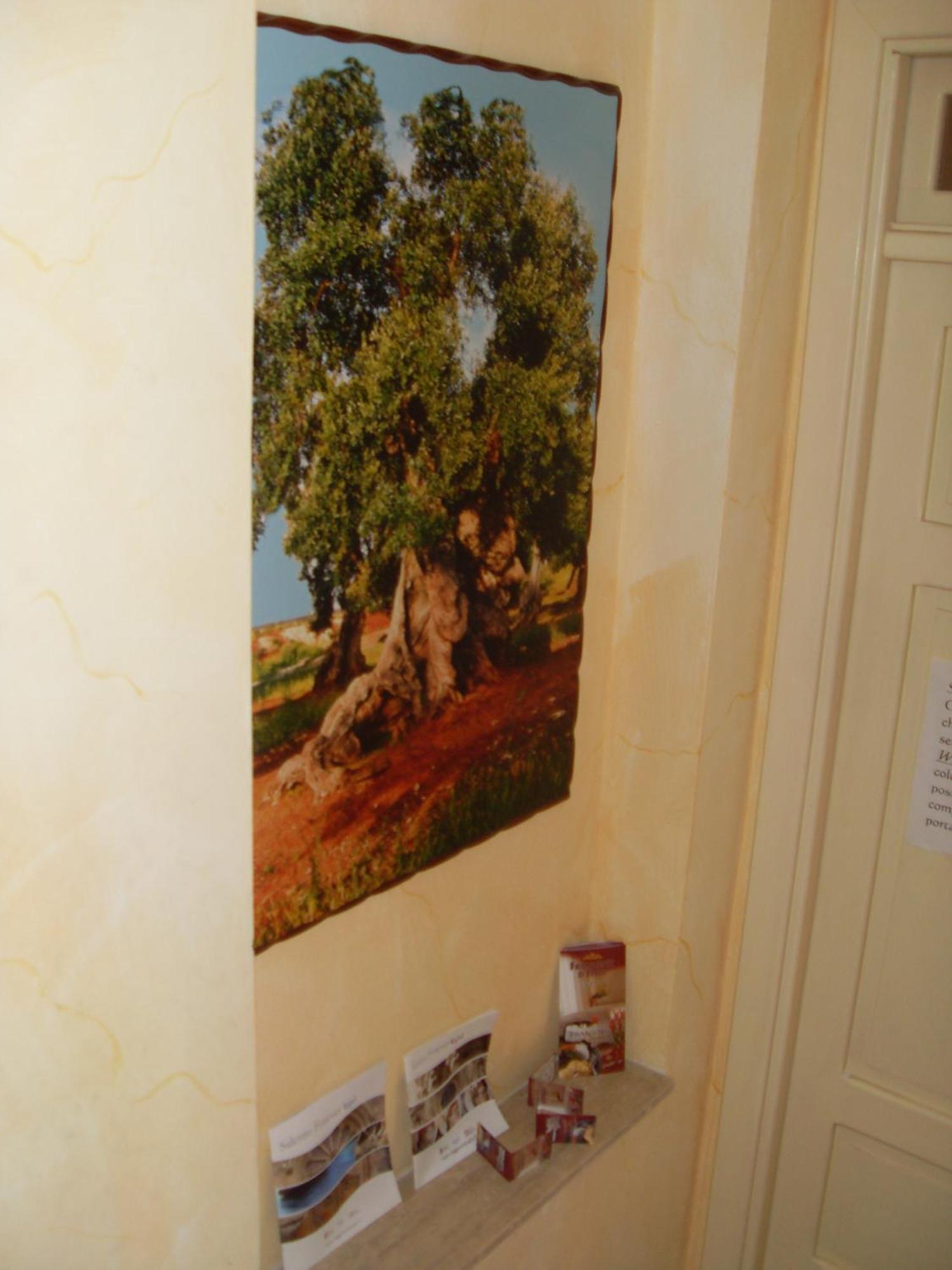 B&B Frammenti D'Itria Ceglie Messapica Zewnętrze zdjęcie